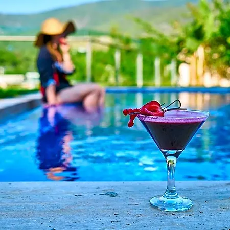 Hotel Voca & 4*